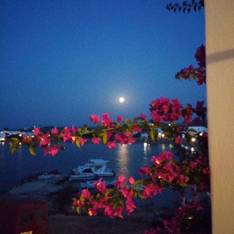 Bocamviglies By The Sea Hotel Naousa  Bagian luar foto