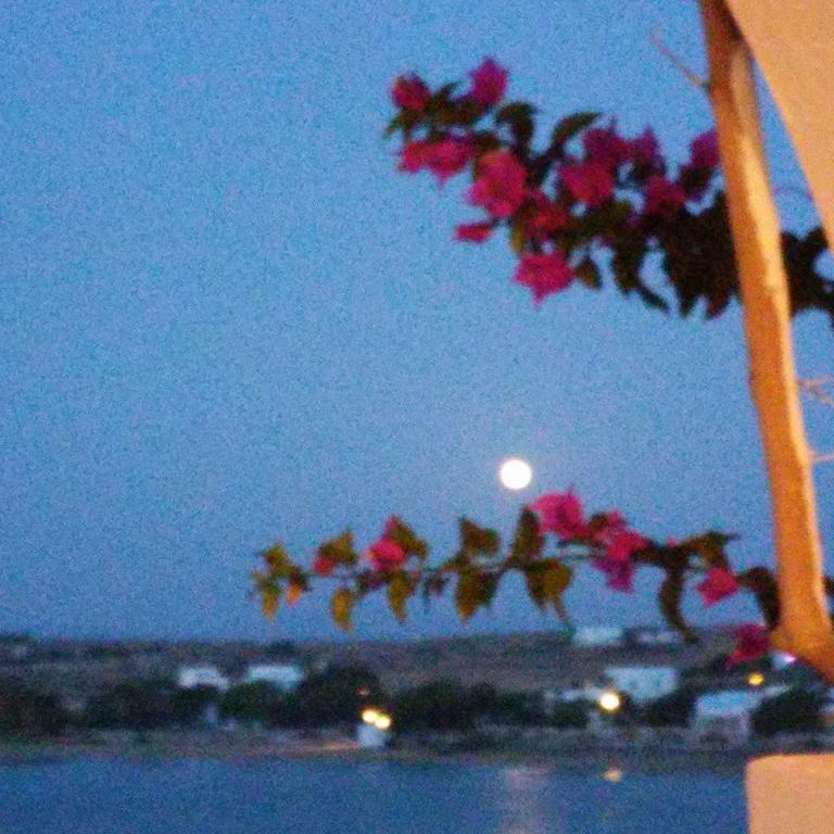 Bocamviglies By The Sea Hotel Naousa  Bagian luar foto
