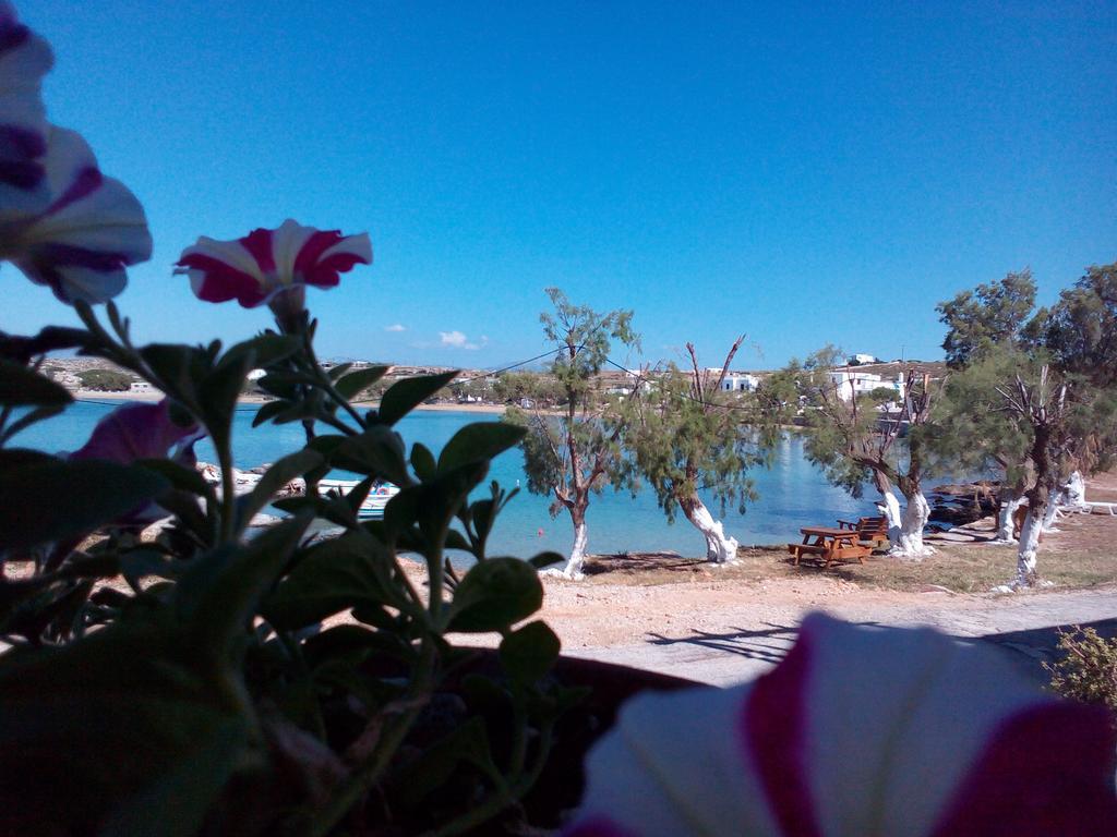 Bocamviglies By The Sea Hotel Naousa  Bagian luar foto