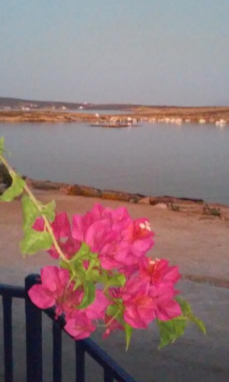 Bocamviglies By The Sea Hotel Naousa  Bagian luar foto