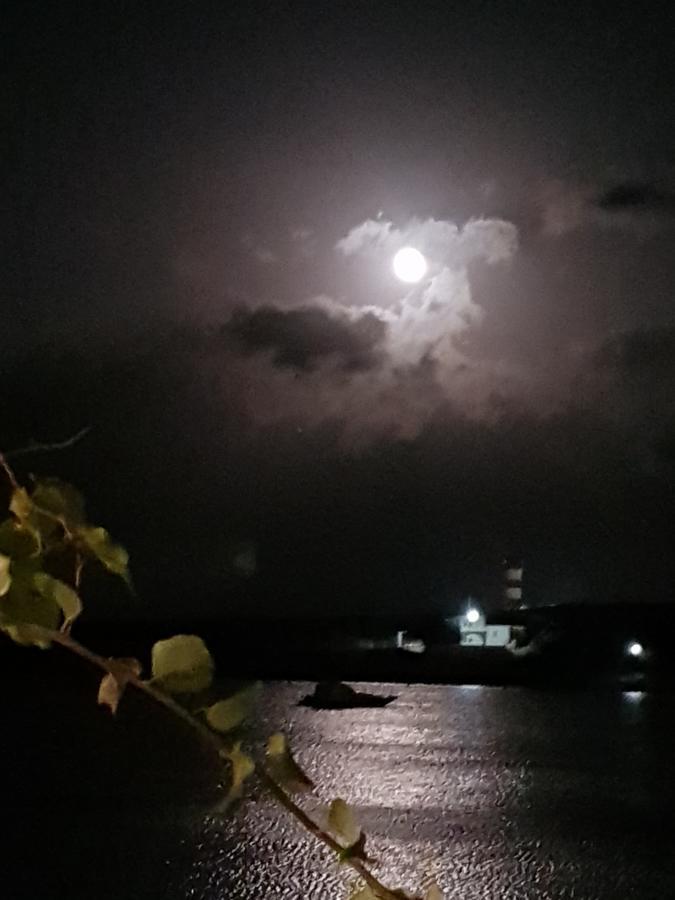 Bocamviglies By The Sea Hotel Naousa  Bagian luar foto